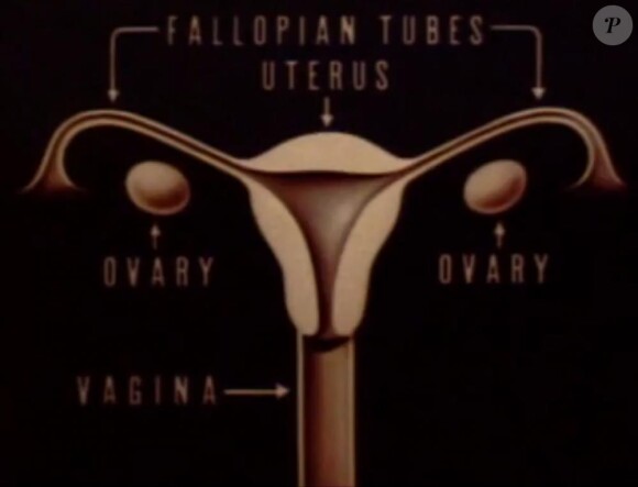 The Story of Menstruation de Walt Disney, en 1946