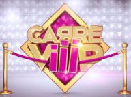 Carré ViiiP : Découvrez le casting d'un des huit candidats anonymes !