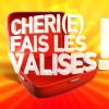 Nagui anime Chéri(e) fais les valises, sur France 2.