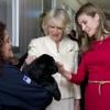 Letizia et Camilla Parker Bowles ont visité un centre d'adoption de chiots à Madrid le 31 mars 2011