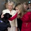 Letizia et Camilla Parker Bowles ont visité un centre d'adoption de chiots à Madrid le 31 mars 2011
