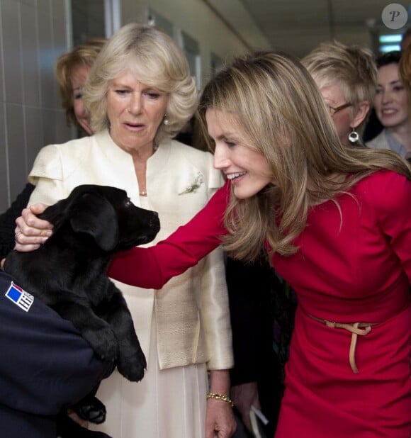 Letizia et Camilla Parker Bowles ont visité un centre d'adoption de chiots à Madrid le 31 mars 2011