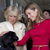 Letizia et Camilla Parker Bowles ont visité un centre d'adoption de chiots à Madrid le 31 mars 2011