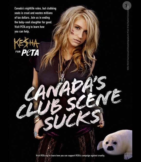 Kesha participe à une campagne de sensibilisation au massacre des bébés phoques au Canada.