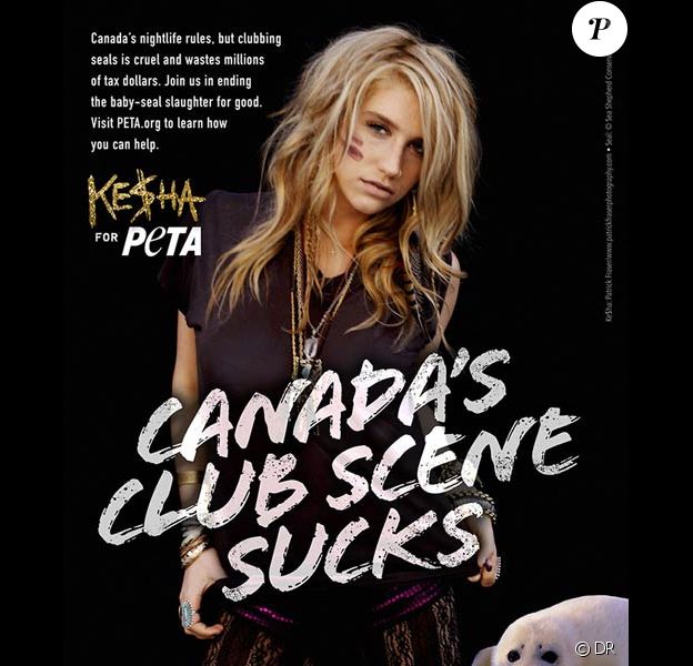 Kesha Et Iggy Pop Ils Se La Jouent Brigitte Bardot Purepeople
