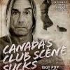 Iggy Pop participe à une campagne de sensibilisation au massacre des bébés  phoques au Canada.