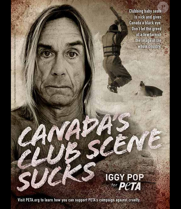 Iggy Pop participe à une campagne de sensibilisation au massacre des bébés  phoques au Canada.