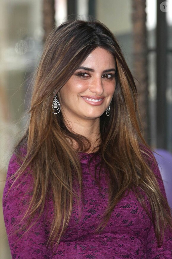 Penélope Cruz jouera dans The Wrong Picture, le prochain film que Woody Allen tournera à Rome, lors de l'été 2011.