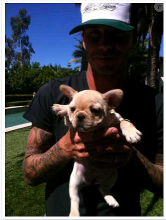 Photo de Scarlet et David Beckham postée par Victoria Beckham sur Twitter le 15 mai 2011