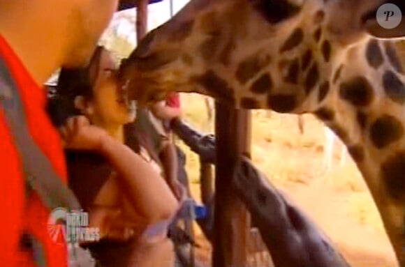 Leïla embrasse la girafe dans Pékin Express : la route des grands fauves le jeudi 19 mai 2011 sur M6