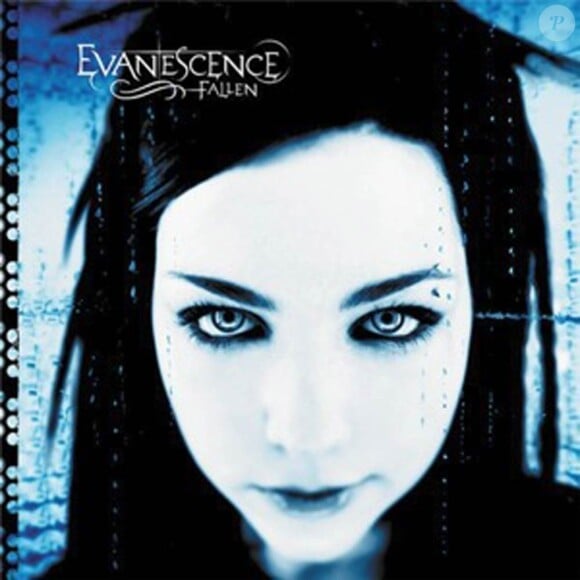 Evanescence sortait en 2003 son premier album, Fallen