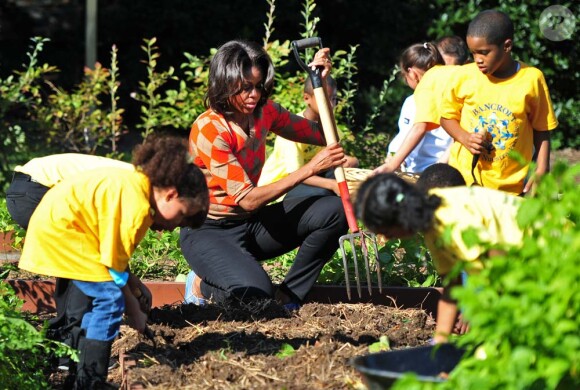 Michelle Obama organise la troisième récolte du potager de la Maison Blanche, à Washington, le 5 octobre 2011. Elle est aidée dans sa tâche par des élèves d'écoles élémentaires voisines.