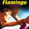 Affiche du film Dubaï Flamingo