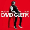 David Guetta - l'album Nothing But the beat - sorti en août 2011.