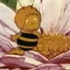 Le générique du dessin animé, Maya l'abeille