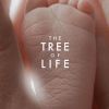 La bande-annonce de The Tree of Life.