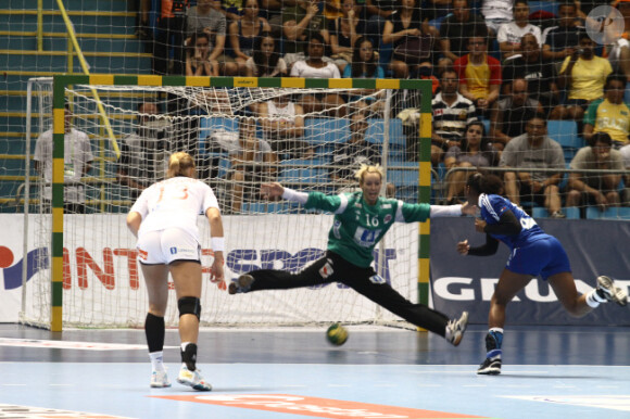Paule Baudouin le 18 décembre 2011 à Sao Paulo au Brésil lors de la finale des Championnats du monde de handball perdue face à la Norvège