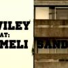 Wiley feat. Emeli Sandé, Never Be Your Woman