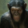 Image du film La planète des singes : les origines