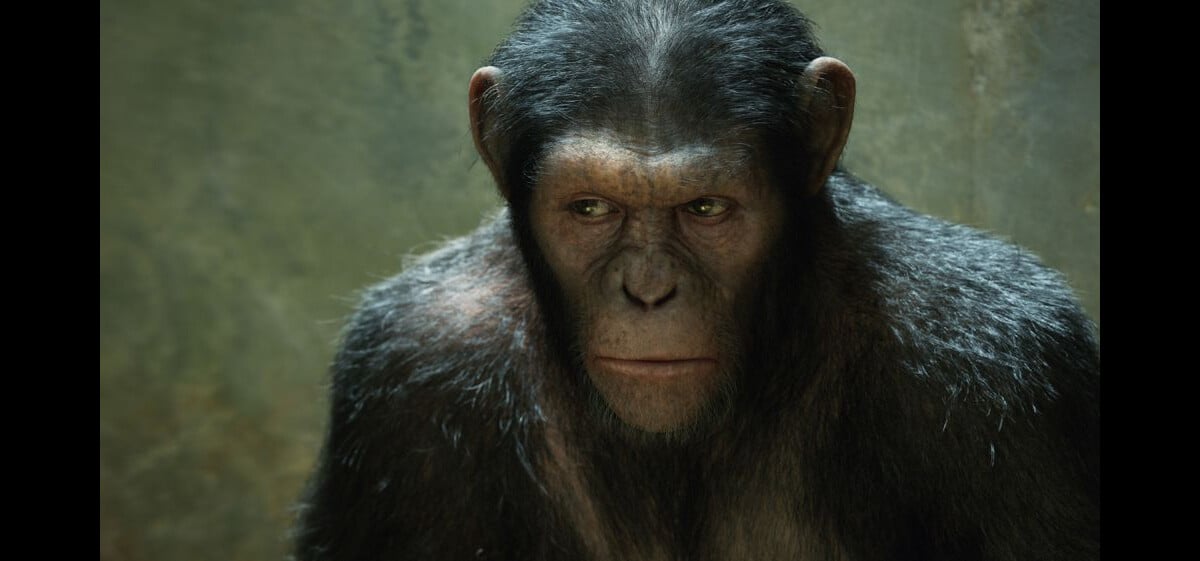 Photo : Image du film La planète des singes : les origines - Purepeople