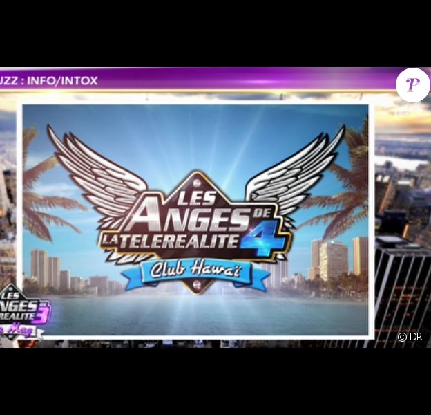 Les Anges de la télé-réalité 4 : Club Hawaï