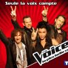 Les coachs de The Voice version française (TF1)