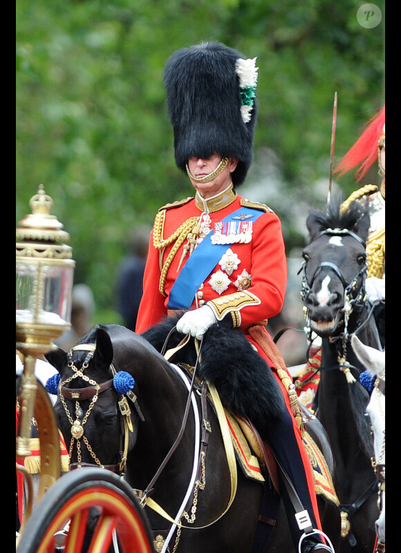 Le prince Charles et le prince William lors de la parade militaire "Trooping the colour", à Londres, le 16 juin 2012