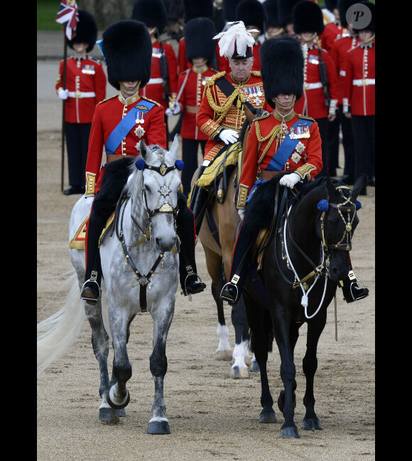 La famille royale lors de la parade militaire "Trooping the colour", à Londres, le 16 juin 2012
