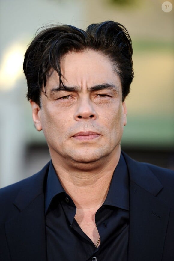 Benicio del Toro lors de la première de Savages à Los Angeles le 25 juin 2012