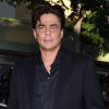 Benicio del Toro lors de la première de Savages à Los Angeles le 25 juin 2012