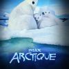 Affiche du documentaire Arctique avec la voix de Sophie Marceau