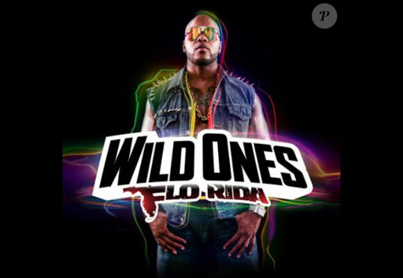 Flo Rida a sorti en juillet 2012 l'album Wild Ones, porté par le single Good Feeling notamment.