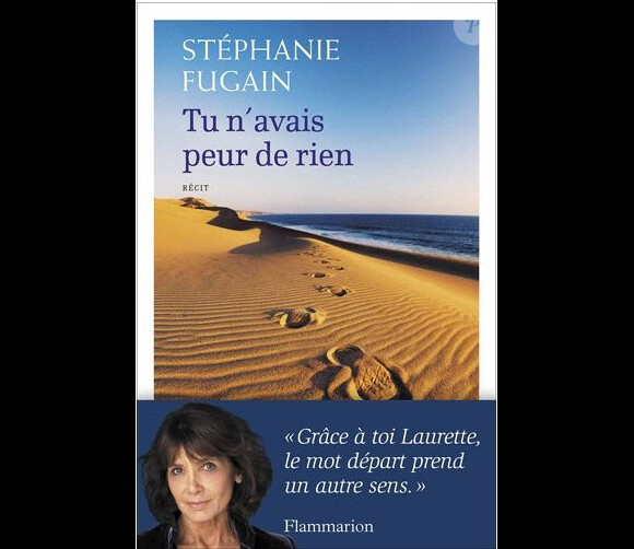 Stéphanie Fugain - Tu n'avais peur de rien (Flammarion)