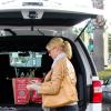 Katherine Heigl range ses courses dans son coffre à Los Angeles, le 10 novembre 2012.