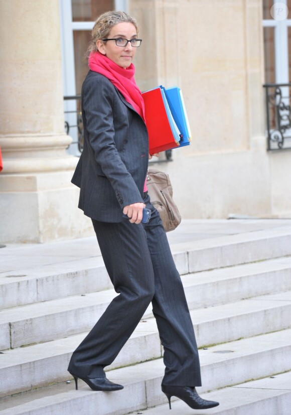 Delphine Batho, ministre de l'Écologie, du Développement durable et de l'Énergie, à la sortie du conseil des ministres, le 28 novembre 2012.