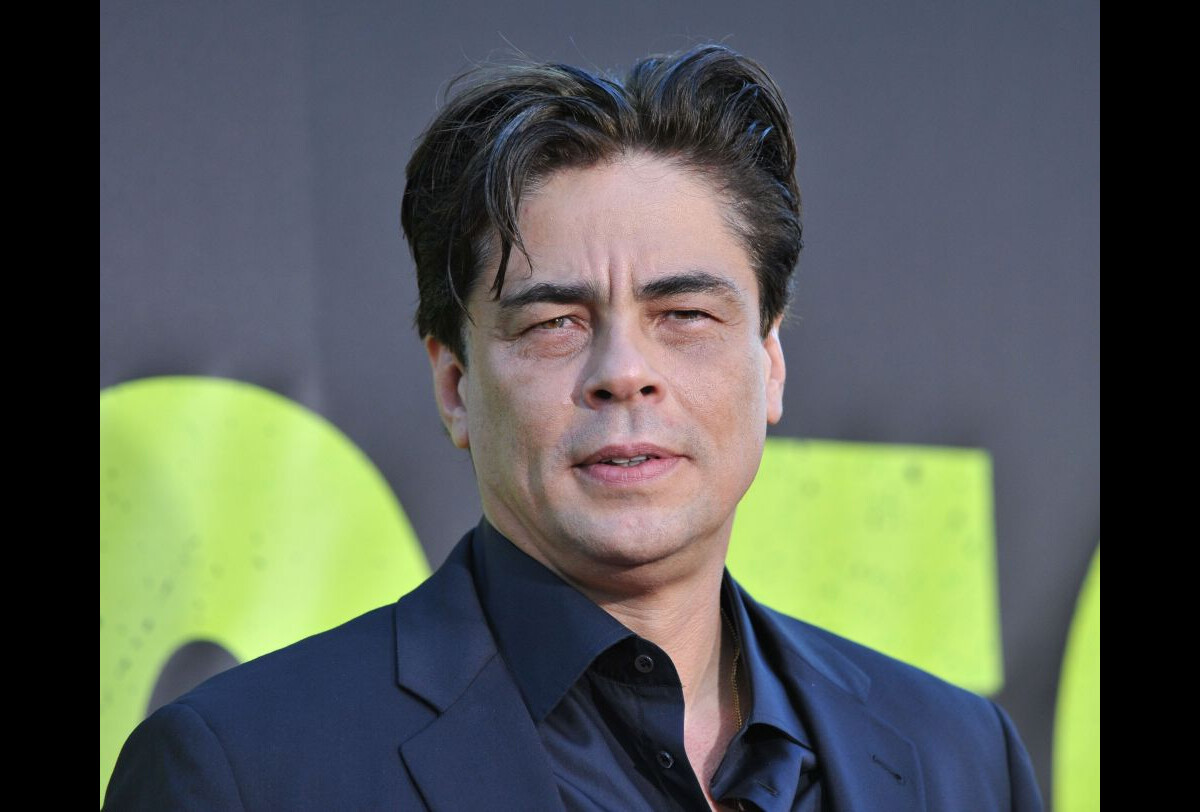 Vidéo : Benicio Del Toro lors de la première du film Savages à Los