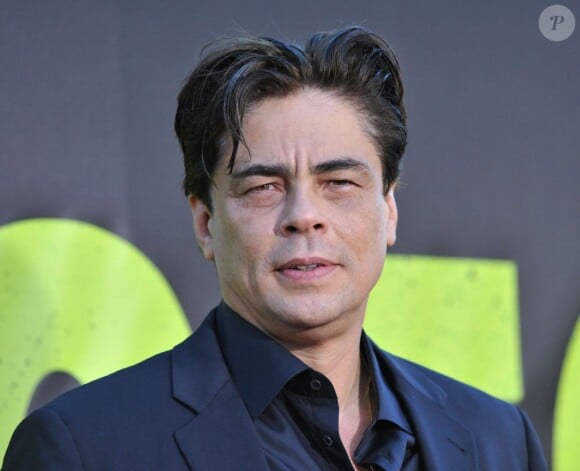 Benicio Del Toro lors de la première du film Savages à Los Angeles, le 25 juin 2012.