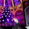 La soirée des 100 ans de la coupole des Galeries Lafayette le 12 décembre 2012