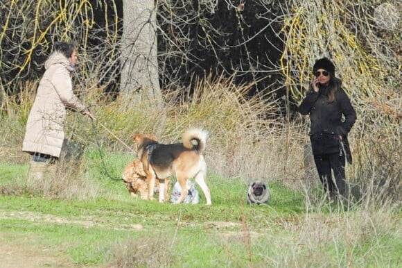 Monica Cruz enceinte promène ses chiens à Madrid le 21 Janvier 2013.