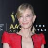 Cate Blanchett tout sourire et sexy pour la cérémonie des AACTA Awards à Sydney le 30 janvier 2013.