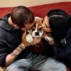 Lewis Hamilton a posté sur son compte des Twitter des photos de son chien Puppy Love.