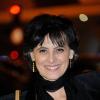 Inès de la Fressange à Paris, le 7 février 2013.