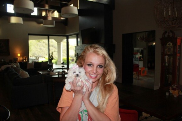 Britney Spears a posté une photo d'elle avec son nouveau chiot sur sa page Twitter.
