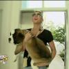 Les Anges découvrent un chien dans les Anges de la télé-réalité 5, vendredi 8 mars 2013 sur NRJ12 - Amélie et Angel