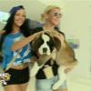 Les Anges découvrent un chien dans les Anges de la télé-réalité 5, vendredi 8 mars 2013 sur NRJ12