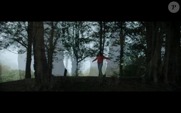 Image extraite du clip "Océan" de M, mars 2013.