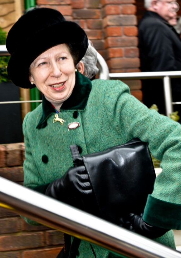 La princesse Anne, a assisté au festival de Cheltenham, le 15 mars 2013.