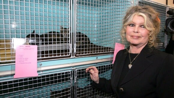 Brigitte Bardot, ''surprise'' : Elle a enfin retrouvé son chat !
