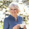 Camilla Parker Bowles, duchesse de Cornouailles célébrait les cinq ans de l'association First Story sous le soleil de Londres le 23 avril 2013