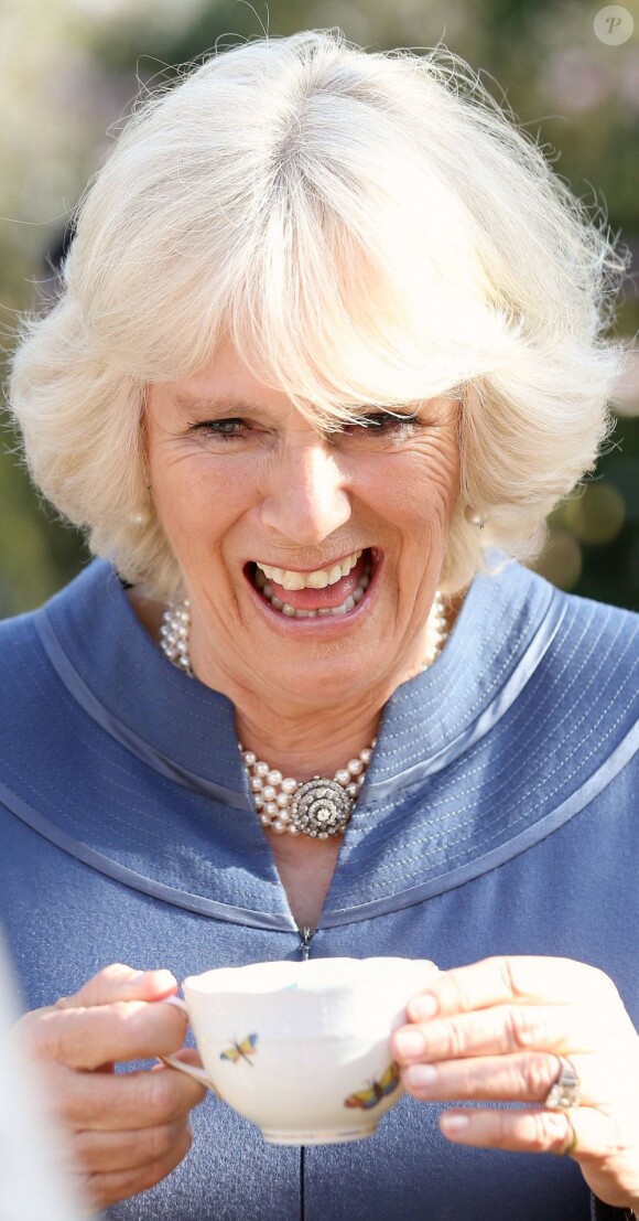 Camilla Parker Bowles, duchesse de Cornouailles célébrait les cinq ans de l'association First Story à Londres le 23 avril 2013 et succombait aux traits d'humour des invités